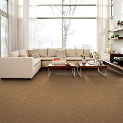 Flooring Studio providing stain-resistant pet proof carpet in Sheboygan, WI Classical Design I - Egyptian Jewel